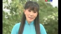 Nửa chiếc khăn thêu