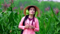 Qua xuân quan họ