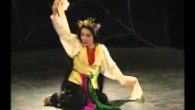 Sân khấu chèo: Súy Vân