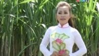 Tân Châu miền đất nhớ