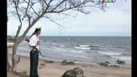Thương về đôi mắt biên cương