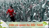Tình yêu trên dòng sông quan họ
