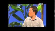 Về Phương Nam