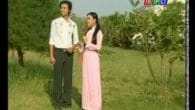 Xuân nhớ về Bác