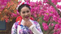 Xuân thắm quê hương