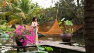 Câu chuyện đầu năm