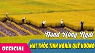 Hát chèo: Hạt thóc tình nghĩa quê hương