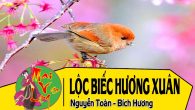 Hát chèo: Lộc biếc hương xuân