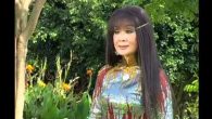 Khi rừng thu thay lá