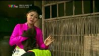 Khúc ru quê