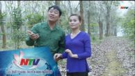Người lưu giữ khúc hát dân ca trên vùng đất Phủ Quỳ