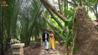 Tân cổ: Rước tình về quê hương