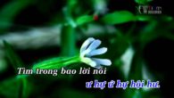 Tìm em trong chiều Hội Lim – Karaoke