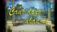 Vở chèo: cánh đồng nhân ái