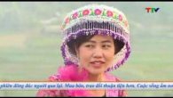 Ca nhạc dân ca dân tộc Mông