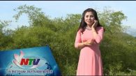 Giới thiệu Ân tình câu ví giặm