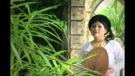 Hoa xoan đêm hội