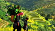 Yên Bái một vùng quê