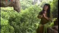 Những nẻo đường quê