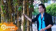 Tân cổ: Gọi đò