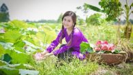 Ca cổ: Đường về quê ngoại