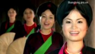Album hoa thơm bướm lượn