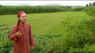 Buôn bấc buôn dầu