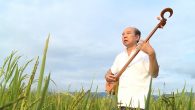 Chuyện về cây đàn tính