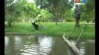 Cô gái tưới đậu