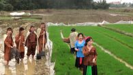 Dân Ca Ví, Giặm Nghệ Tĩnh