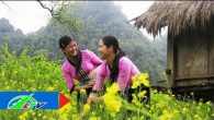 Đẹp sao ơi rừng núi