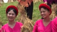 Đi cấy