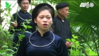 Điệu ví của người Tày