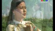 Hoa nắng mùa xuân