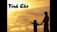 Ngàn dặm tìm cha
