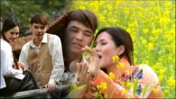 Nghe em hát còn duyên