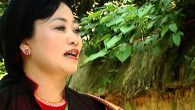 Nhạc Trữ Tình, Dân ca quan họ Bắc Ninh | Album Thỏa Nỗi Nhớ Mong