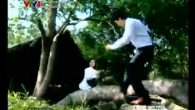 Tân cổ: Sông quê