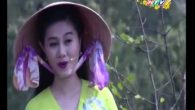 Tân cổ Tình ta lý qua cầu