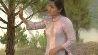 Thương về miền Trung