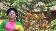Tình mẹ