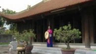 Tòng Nhất Nhi Trung