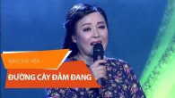 Đường cày đảm đang