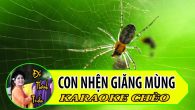 Hát Karaoke Con nhện giăng mùng