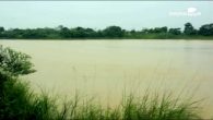 Một thoáng Hàm Rồng
