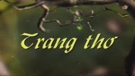 Nỗi niềm tháng 3