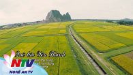 Quê lúa Yên Thành