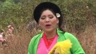 Thái Bình quê lúa