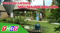 Trích đoạn cải lương Bên cầu dệt lụa
