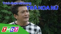 Trích đoạn cải lương Trà Hoa Nữ